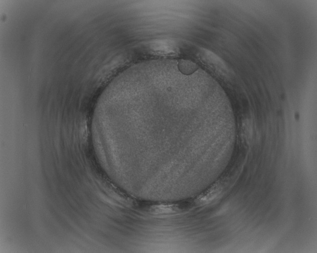 X0000067840320200604271626