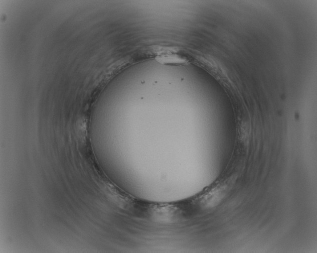 X0000067840321200604271626