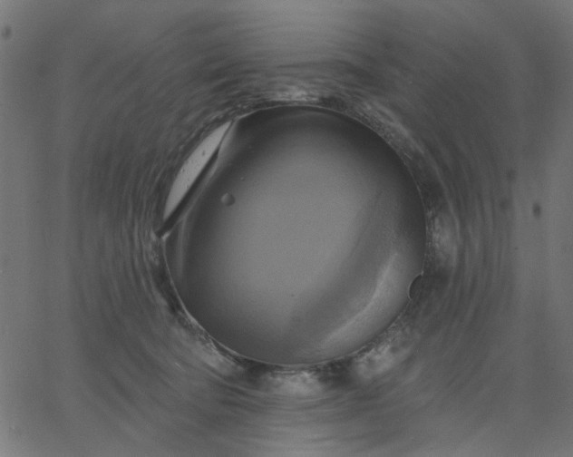 X0000067840322200604271626