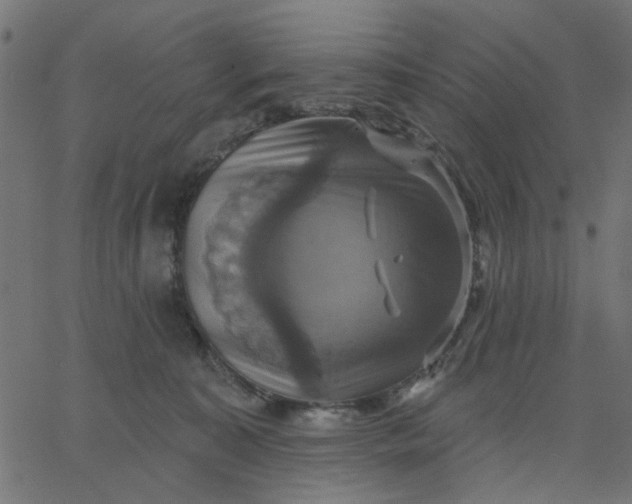 X0000067840323200604271626