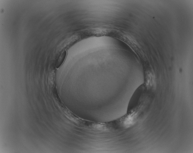 X0000067840325200604271626