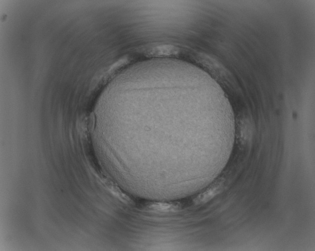 X0000067840326200604271626