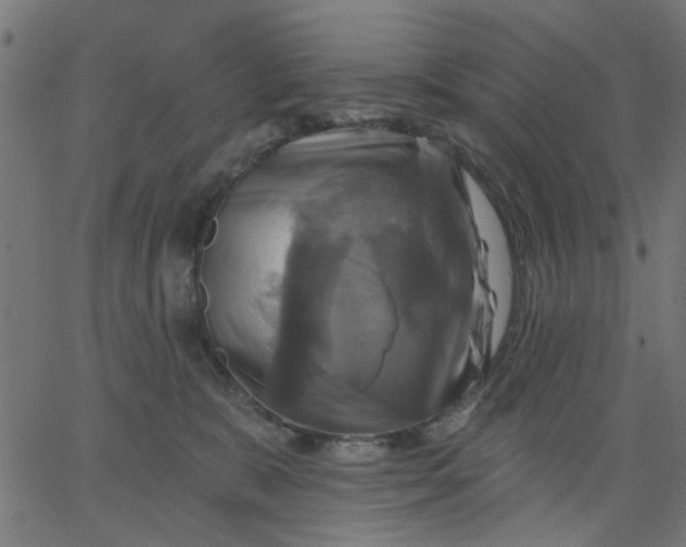 X0000067840327200604271626