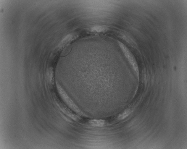 X0000067840328200604271626