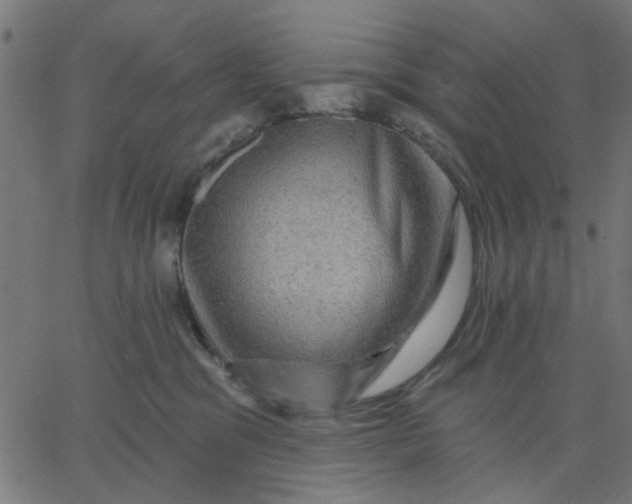 X0000067840329200604271626