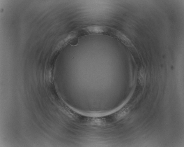 X0000067840330200604271626