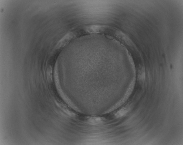 X0000067840332200604271626