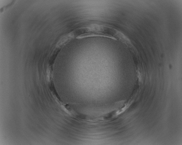 X0000067840333200604271626