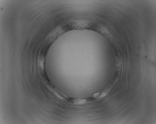 X0000067840334200604271626