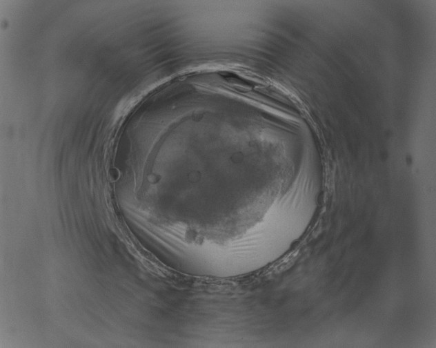 X0000067840337200604271625