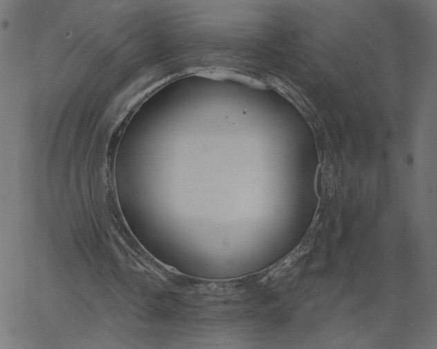 X0000067840338200604271625