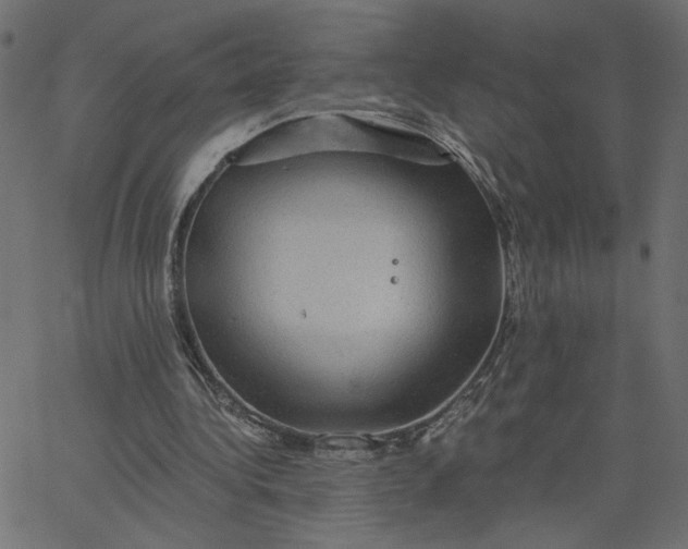 X0000067840340200604271625