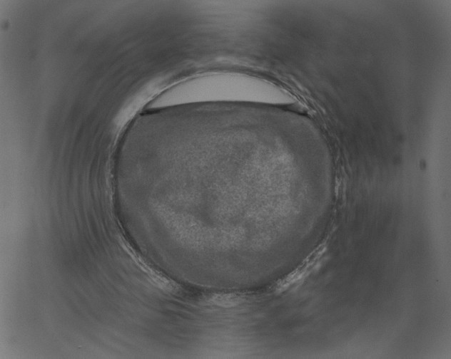 X0000067840341200604271625