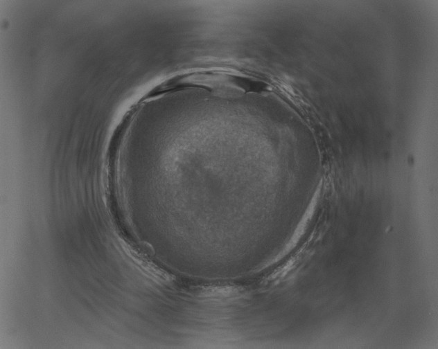 X0000067840342200604271625