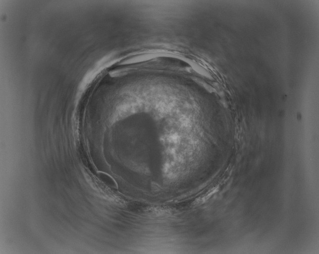 X0000067840343200604271625