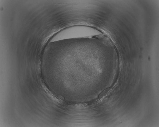 X0000067840345200604271625