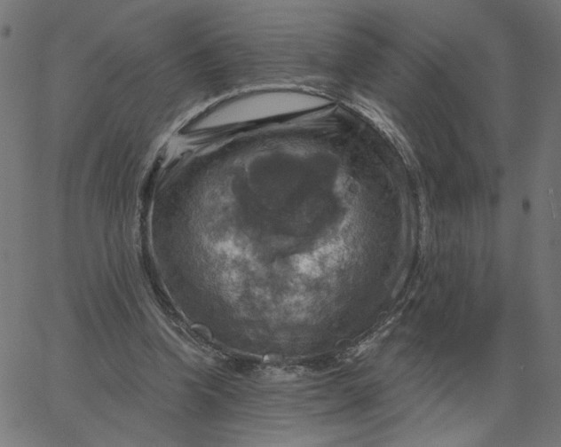 X0000067840346200604271625