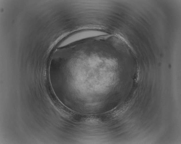 X0000067840348200604271625