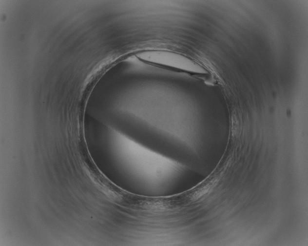 X0000067840349200604271625