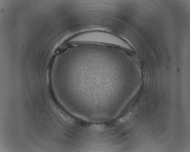 X0000067840350200604271625