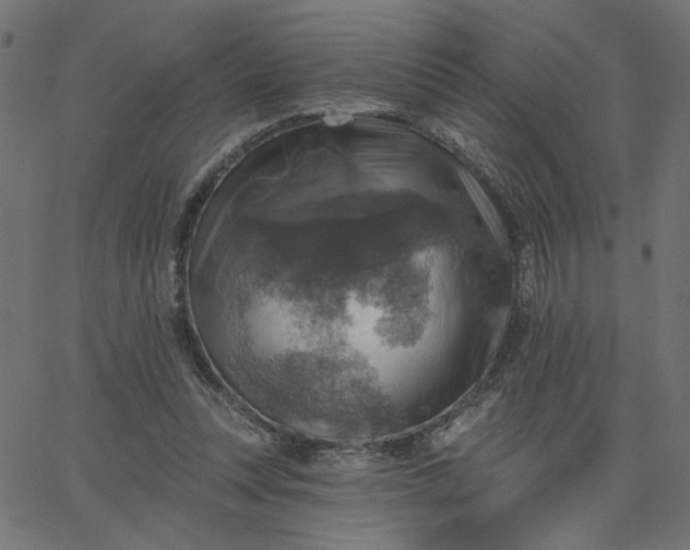 X0000067840351200604271625