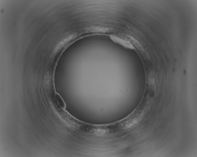 X0000067840352200604271625