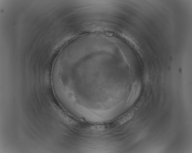 X0000067840353200604271625