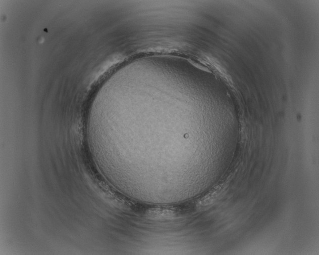 X0000067840354200604271625