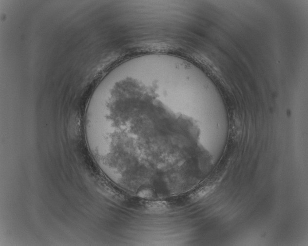 X0000067840355200604271625