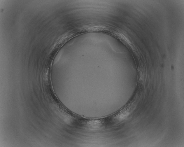 X0000067840357200604271625