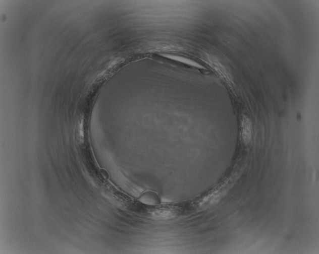 X0000067840358200604271625