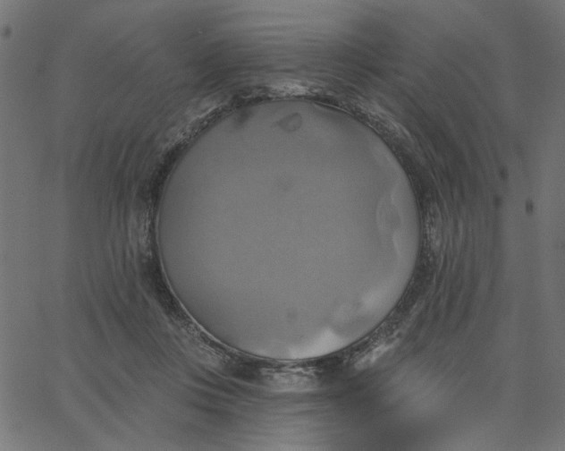 X0000067840359200604271625