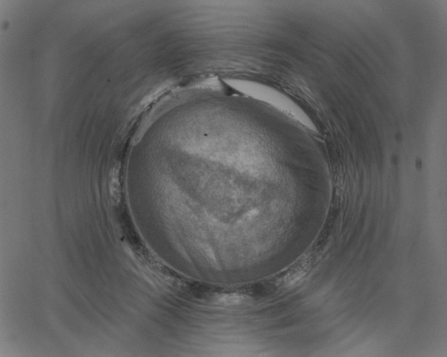 X0000067840360200604271625