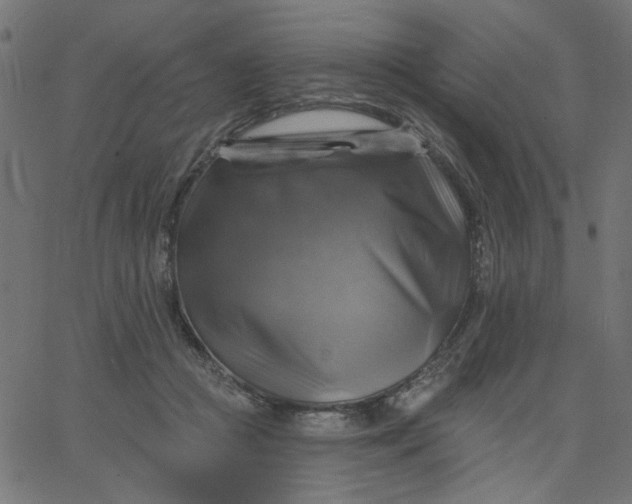 X0000067840361200604271625