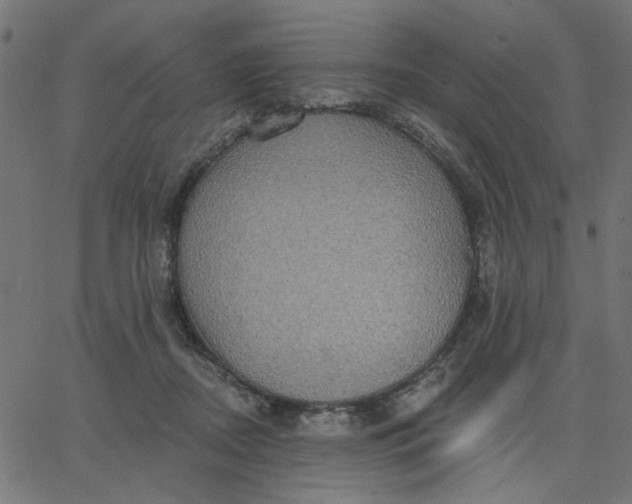 X0000067840362200604271625