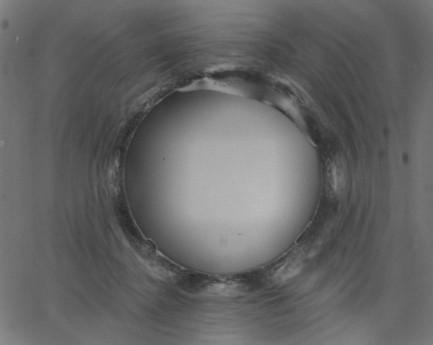 X0000067840364200604271625