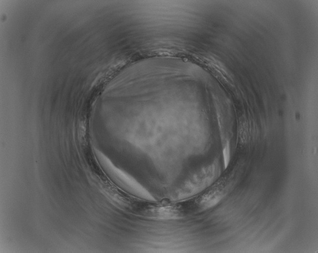 X0000067840365200604271625