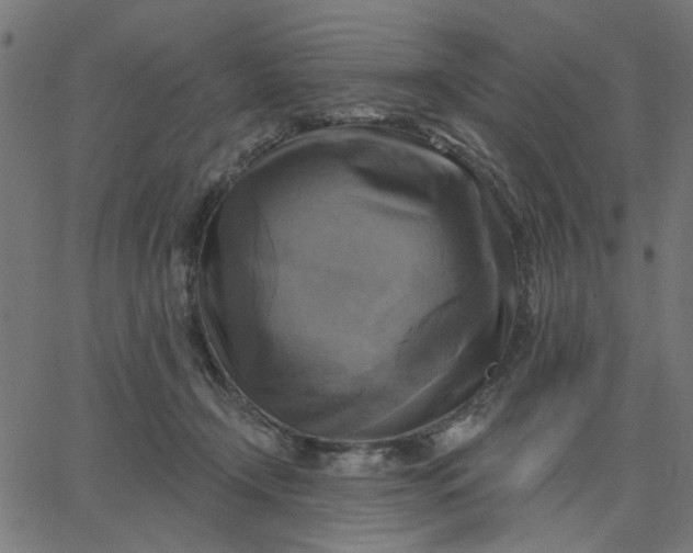 X0000067840366200604271625