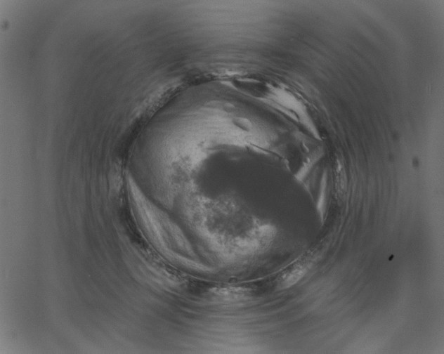 X0000067840367200604271625