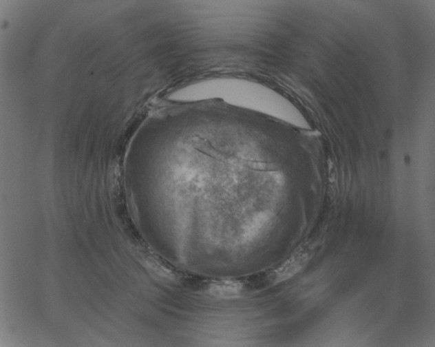 X0000067840369200604271626