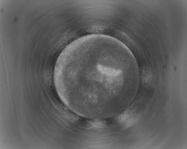 X0000067840370200604271626