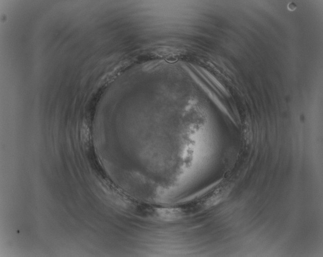 X0000067840371200604271626