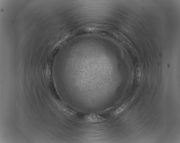 X0000067840372200604271626