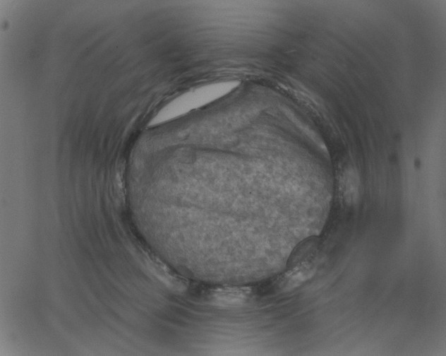 X0000067840373200604271626