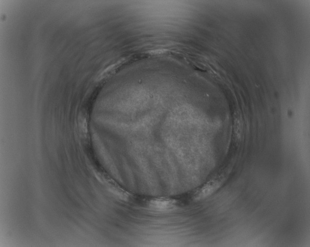 X0000067840375200604271626