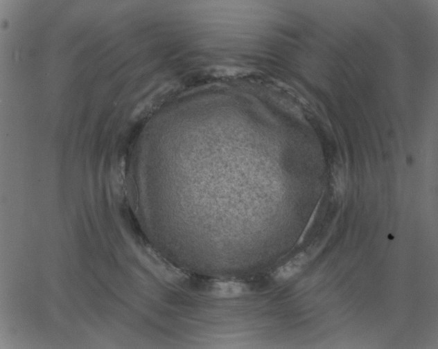 X0000067840376200604271626