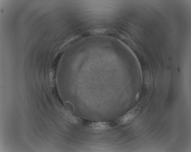 X0000067840378200604271626