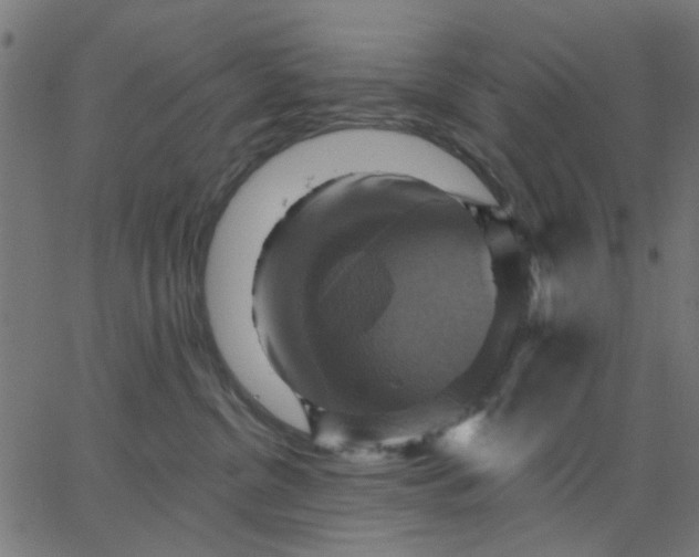 X0000067840380200604271626