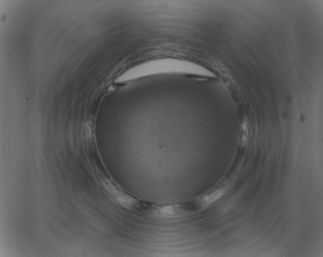 X0000067840382200604271626