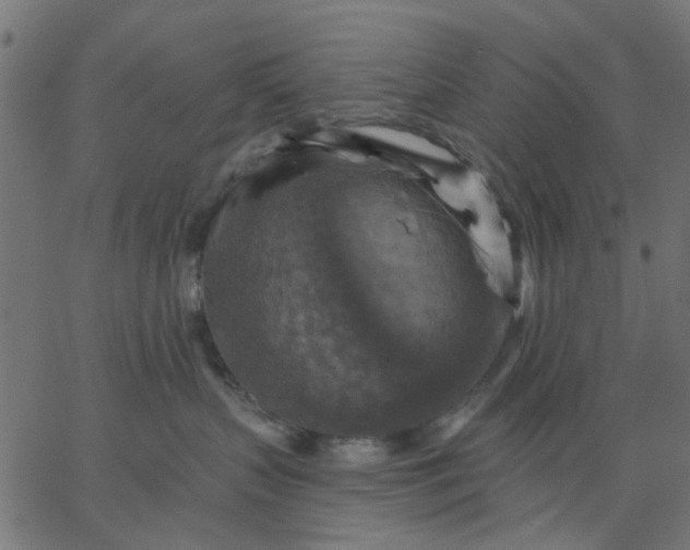 X0000067840383200604271626